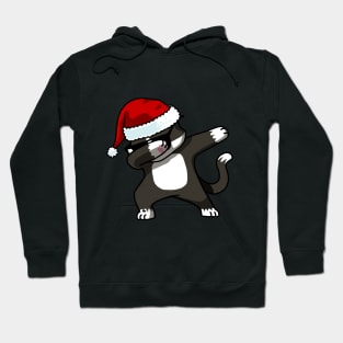 Cat Dabbing Frajola Santa Hat Hoodie